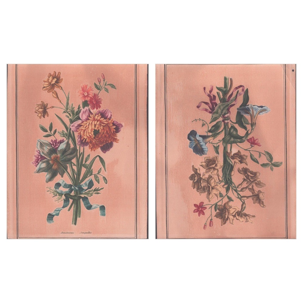 Vintage Botanical Prints Set Anemones Jonquils Morning Glories Salmon 8x9.8